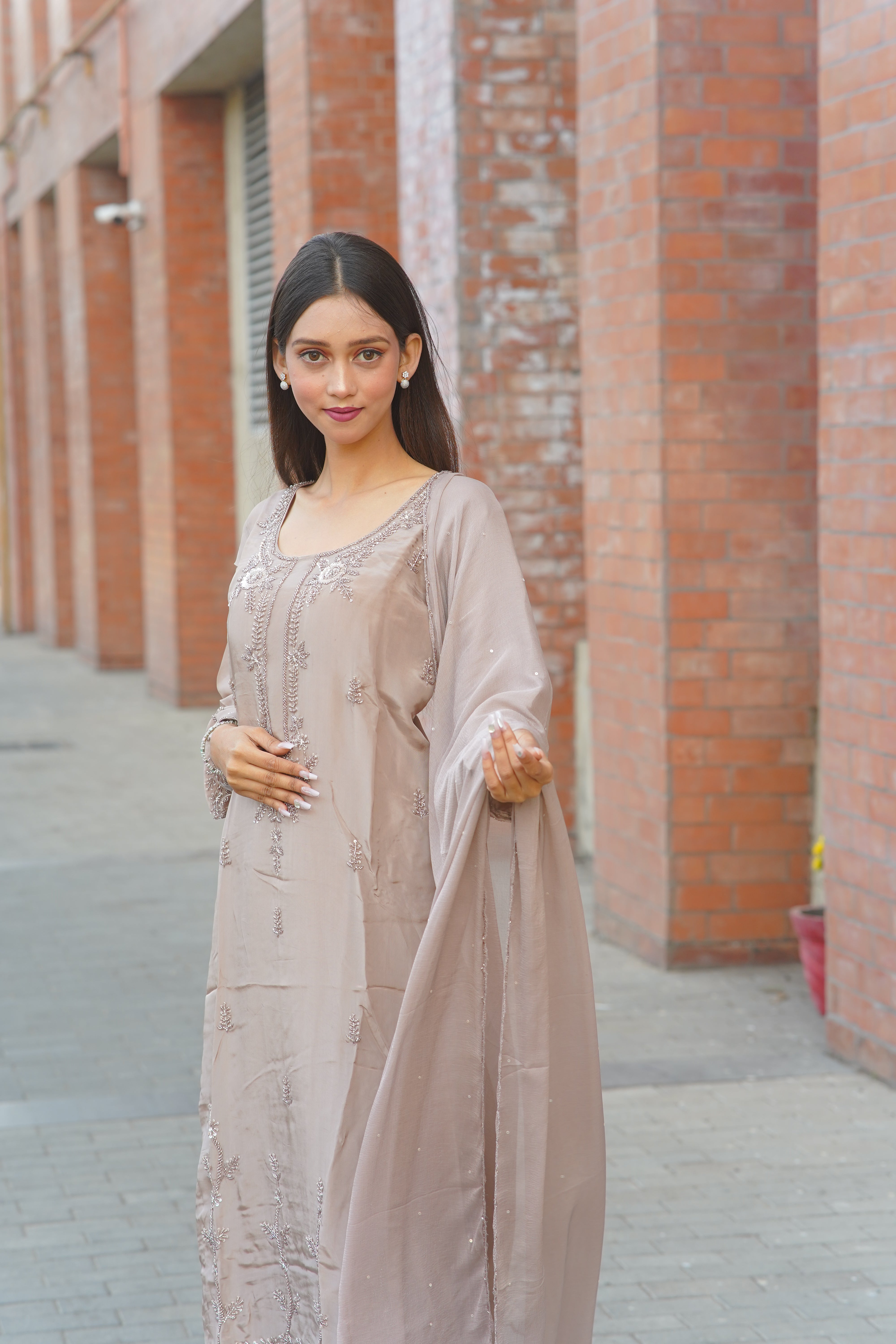 Premium HO Silk Handwork Suit – Elegant Taupe Ensemble