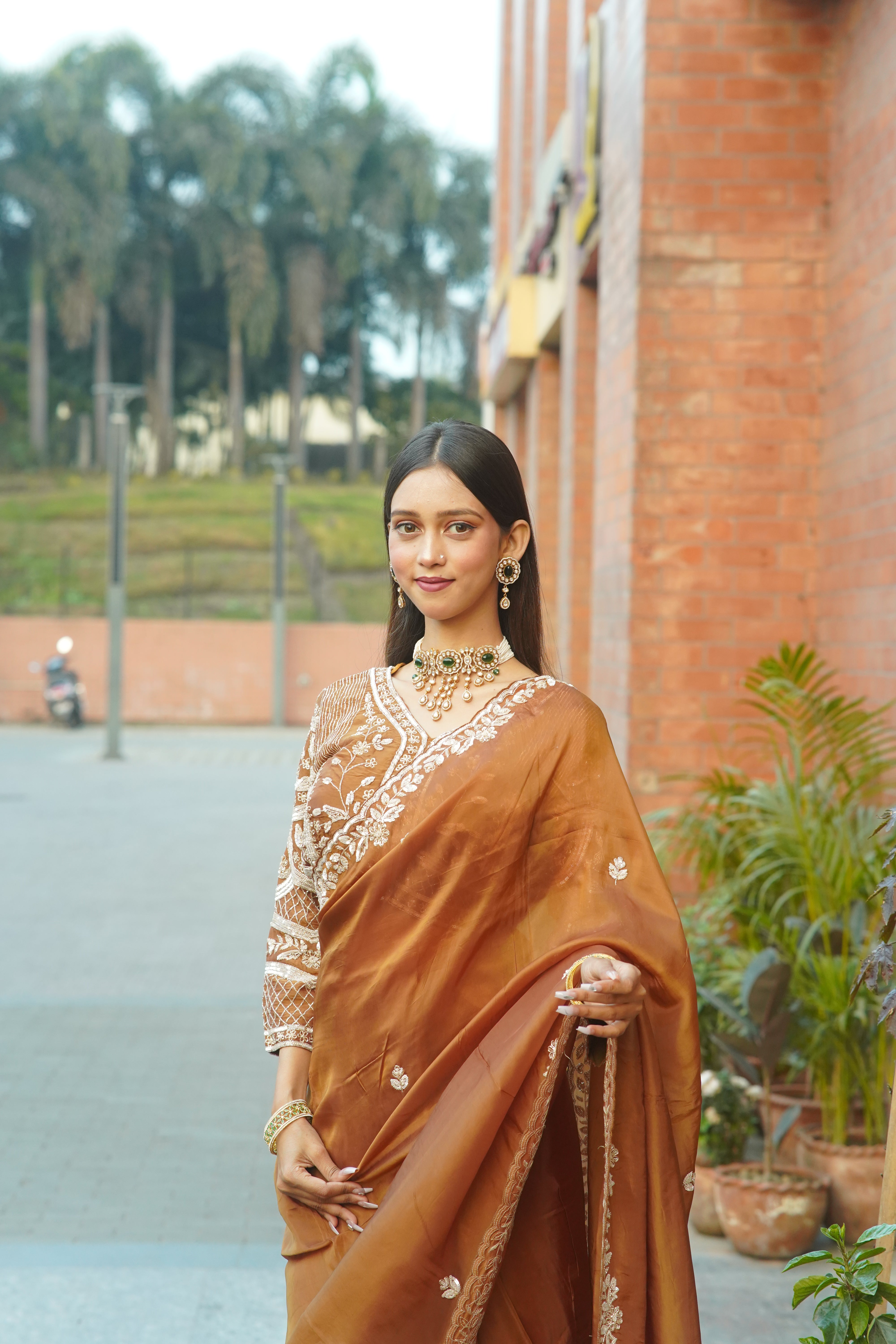 Handcrafted Saree with Detailed Blouse Work