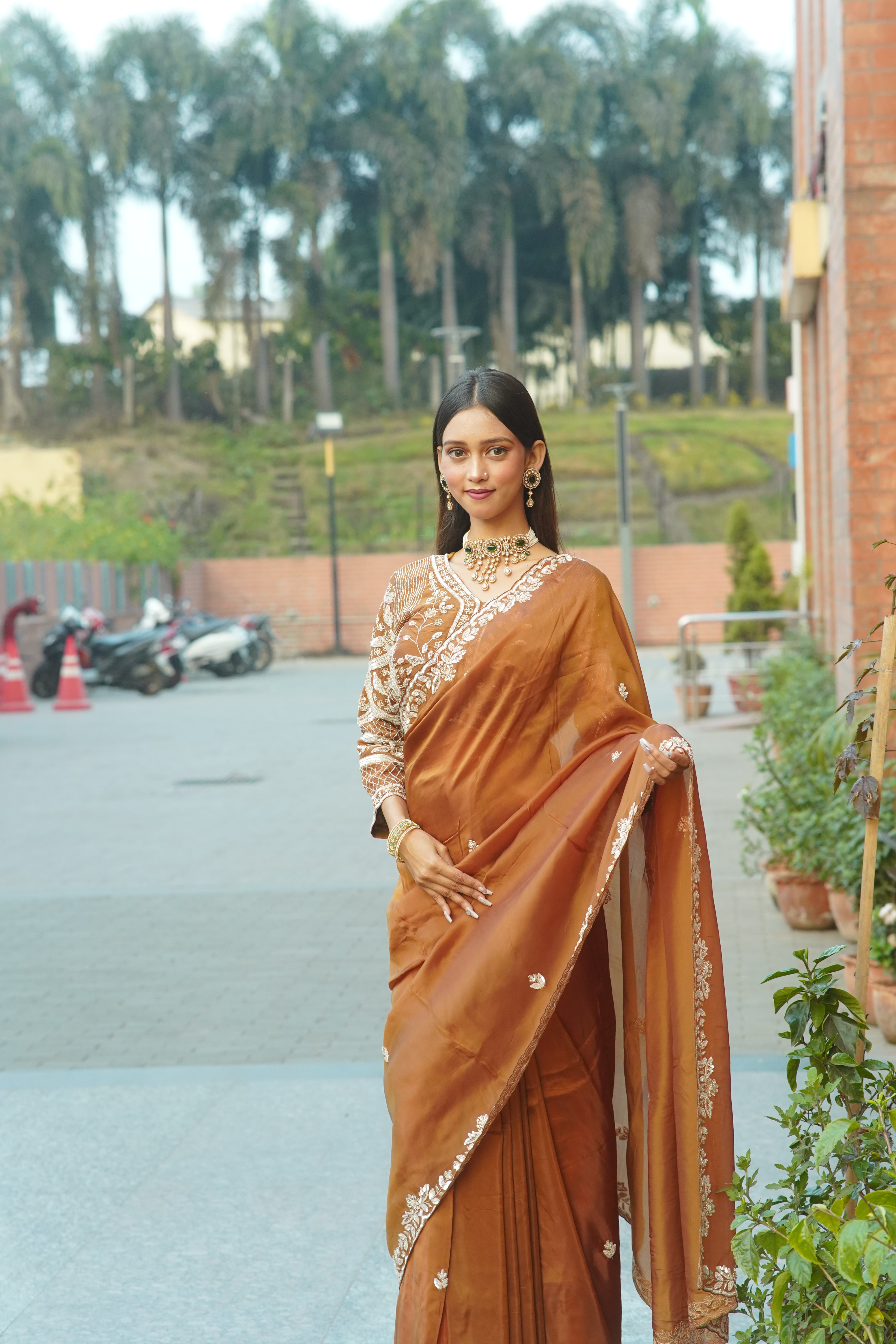 Handcrafted Saree with Detailed Blouse Work