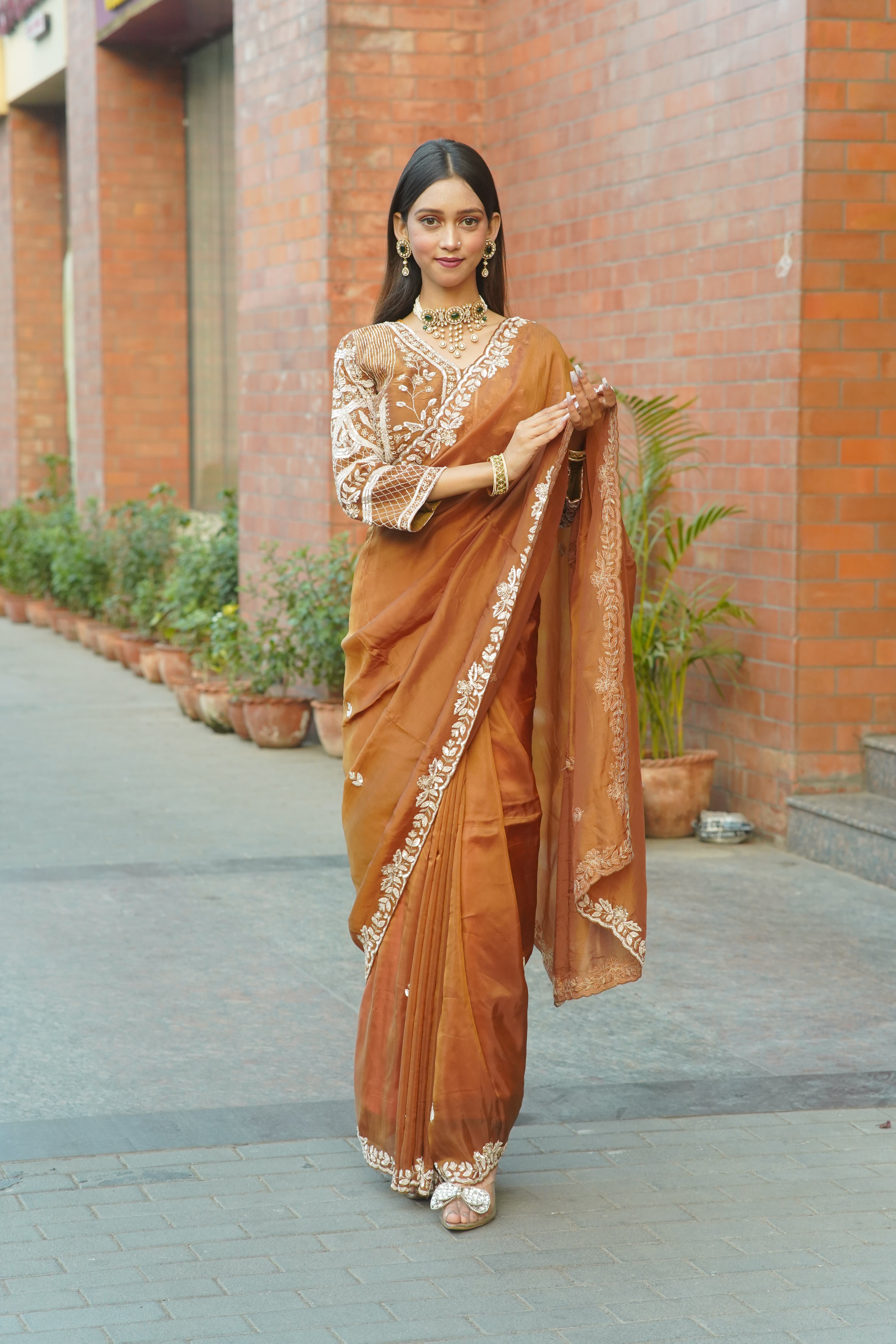 Handcrafted Saree with Detailed Blouse Work