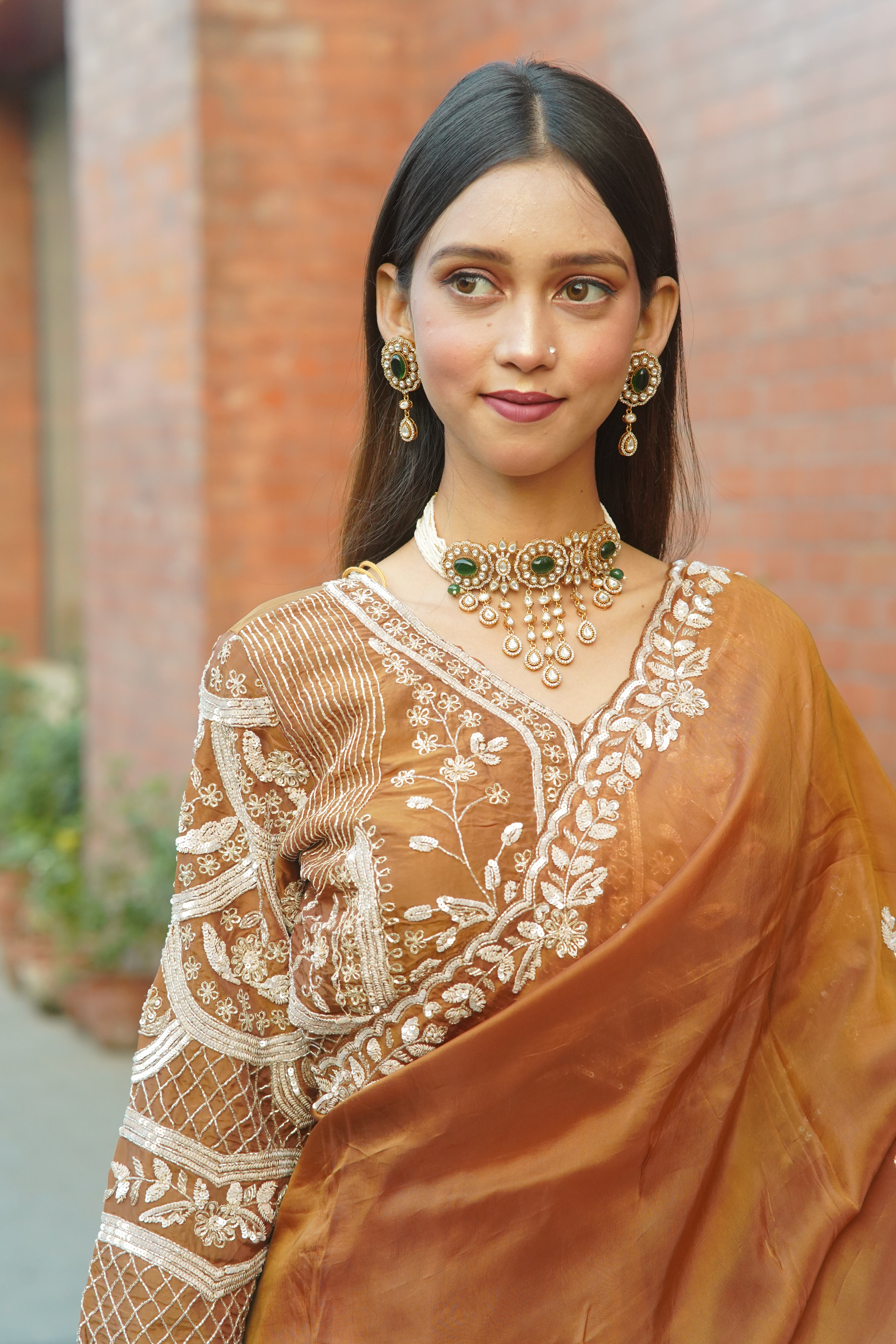 Handcrafted Saree with Detailed Blouse Work