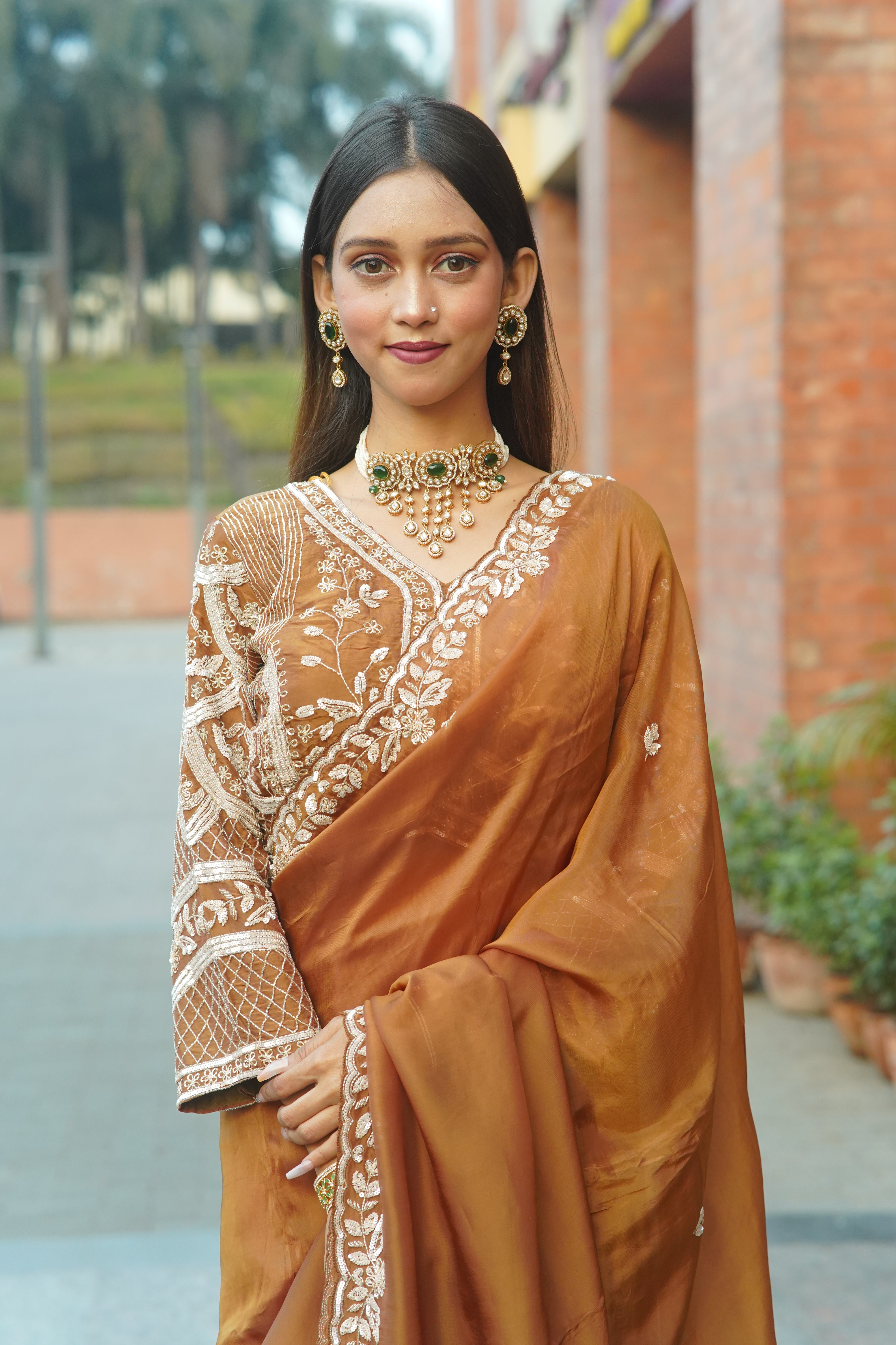Handcrafted Saree with Detailed Blouse Work
