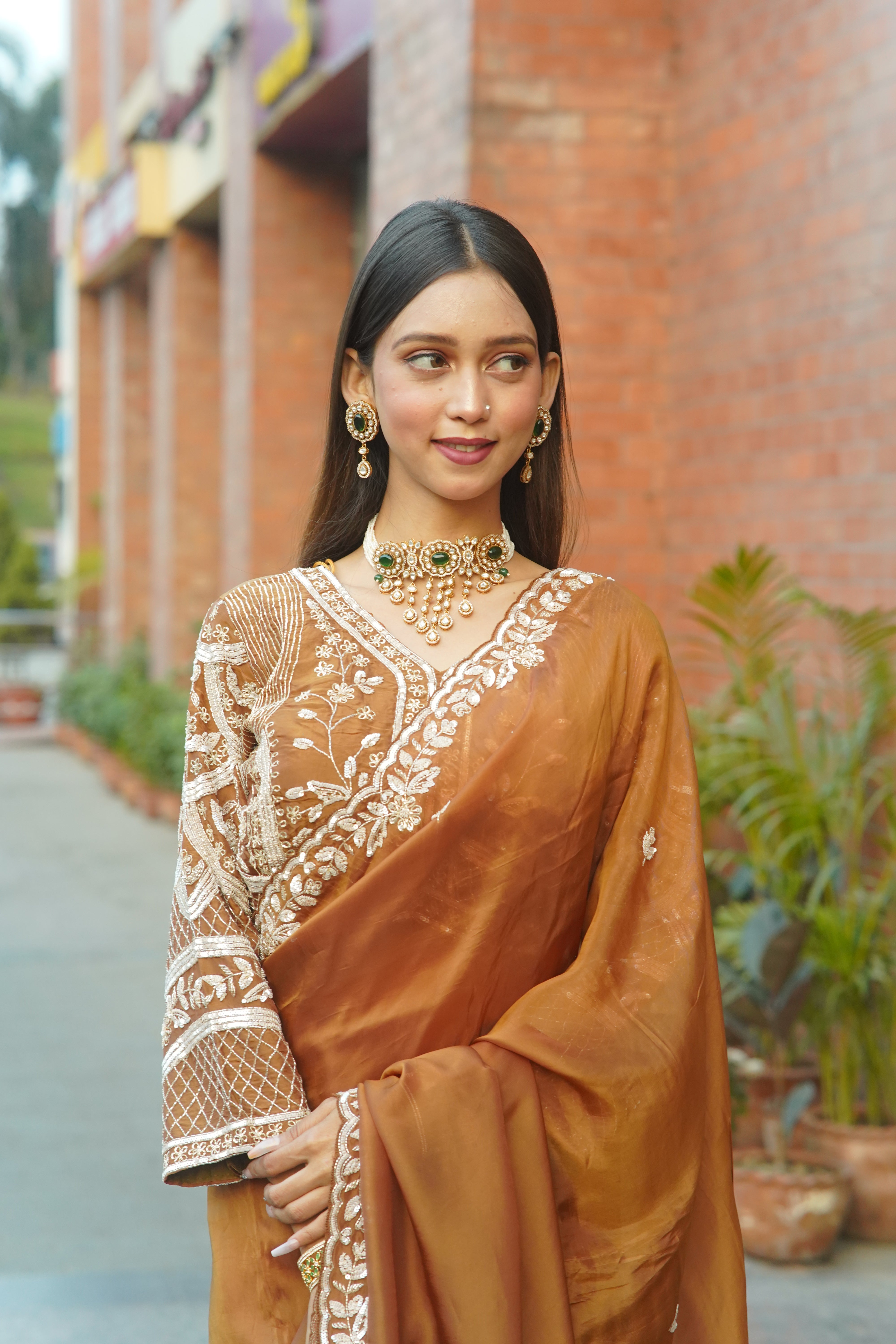 Handcrafted Saree with Detailed Blouse Work