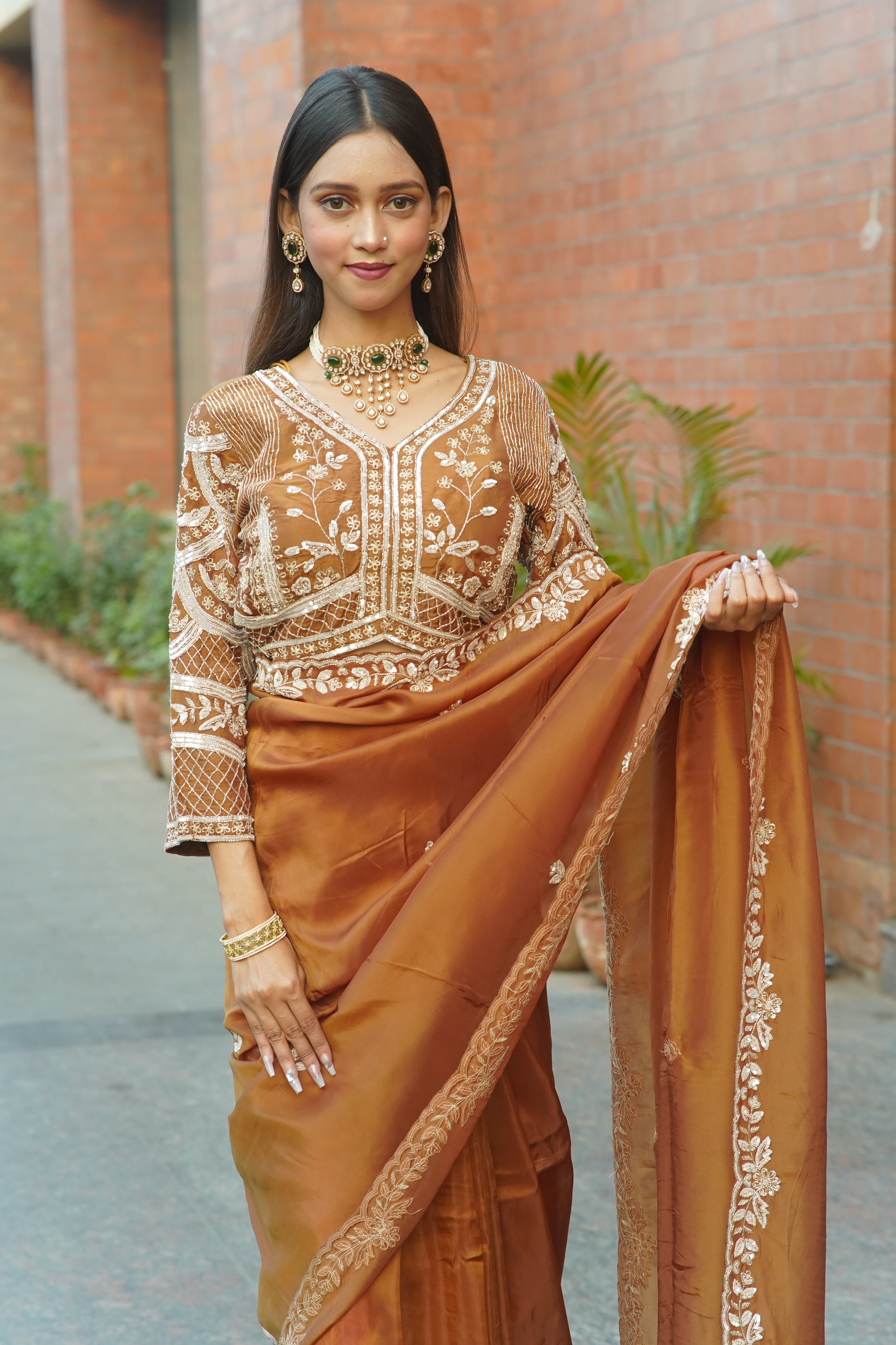 Handcrafted Saree with Detailed Blouse Work