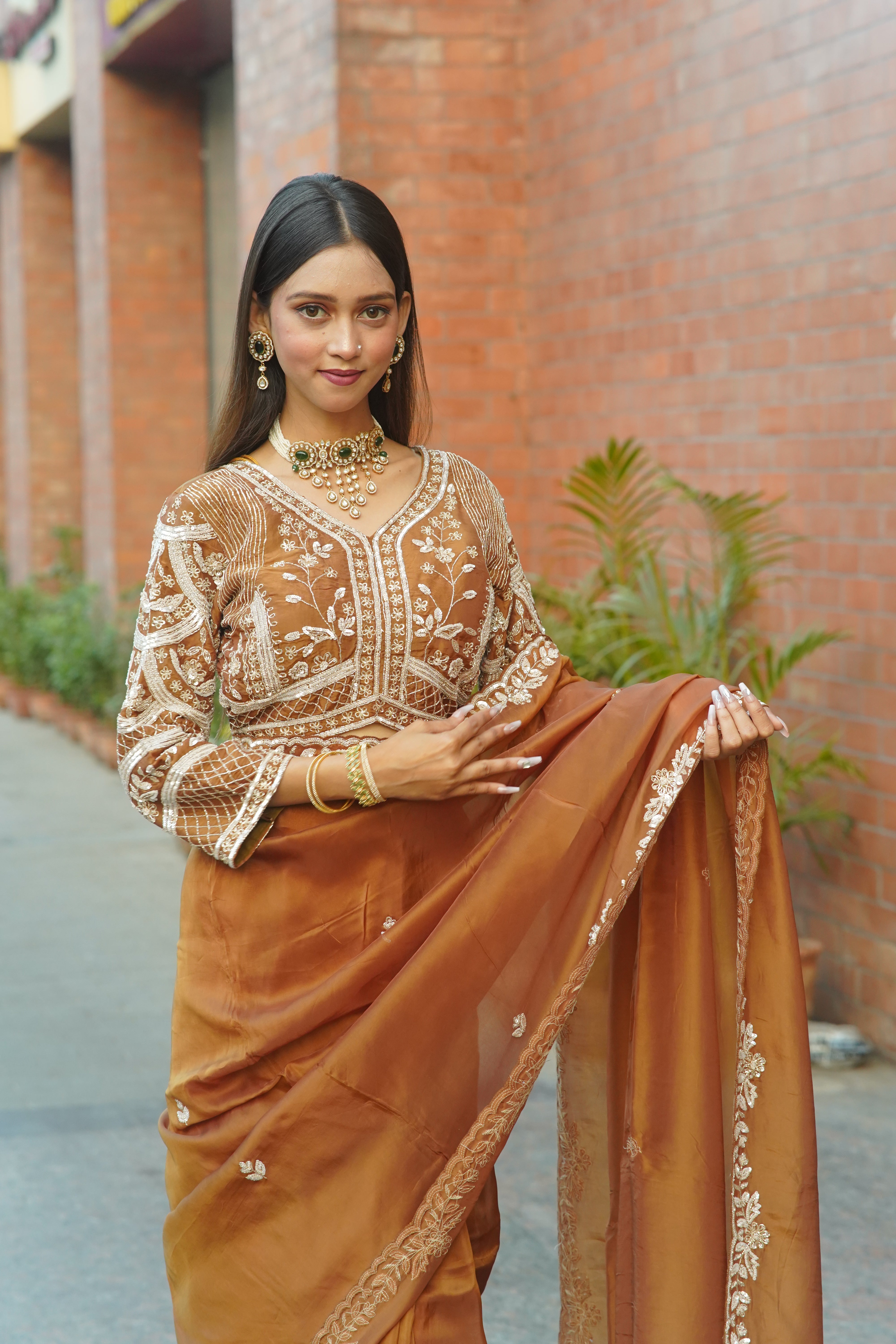 Handcrafted Saree with Detailed Blouse Work