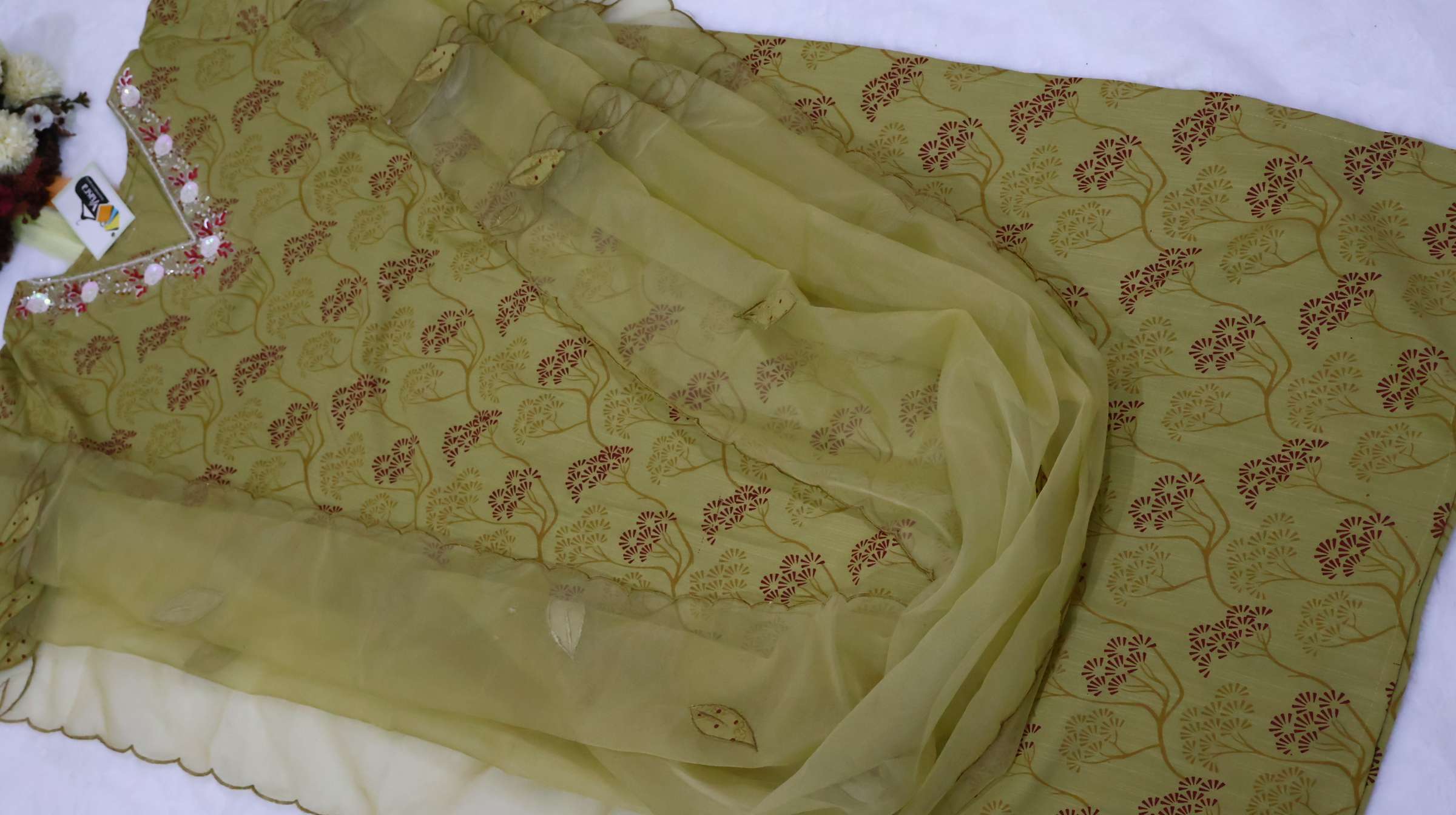 Kurta and Organza Dupatta